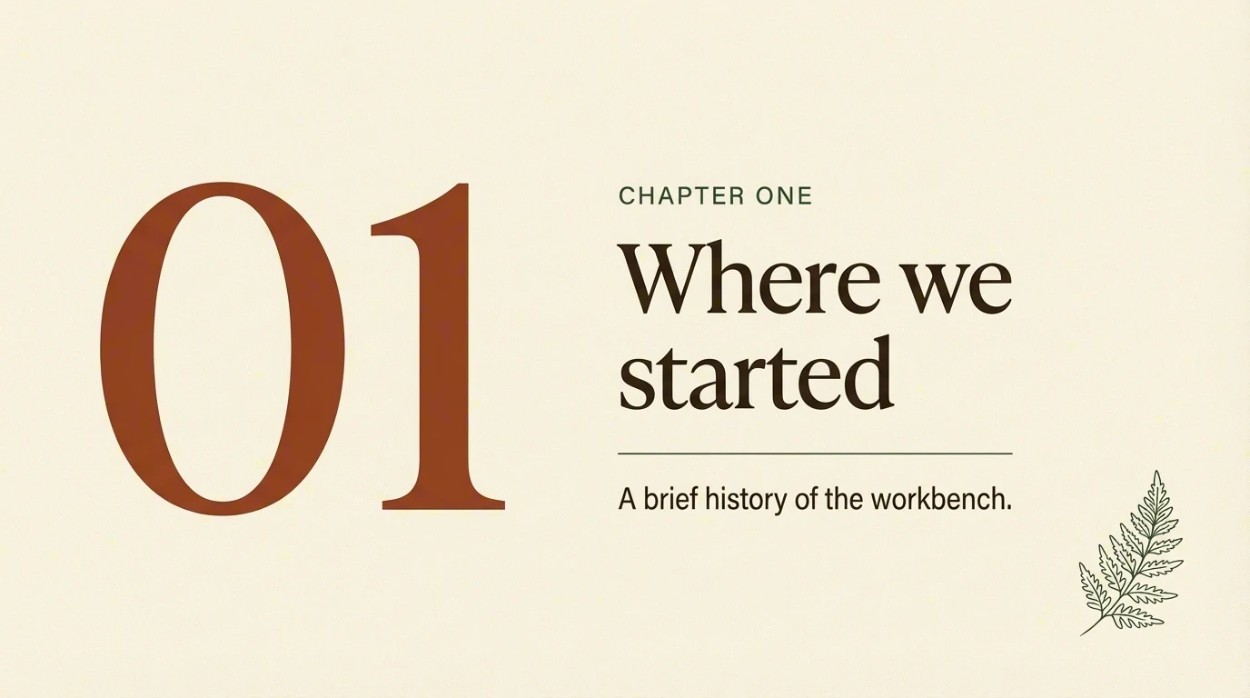 Section divider slide: Chapter One, Where we started